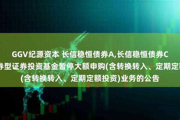 GGV纪源资本 长信稳恒债券A,长信稳恒债券C: 关于长信稳恒债券型证券投资基金暂停大额申购(含转换转入、定期定额投资)业务的公告