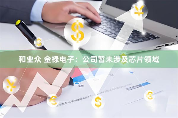 和业众 金禄电子：公司暂未涉及芯片领域