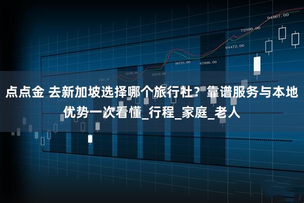 点点金 去新加坡选择哪个旅行社？靠谱服务与本地优势一次看懂_行程_家庭_老人
