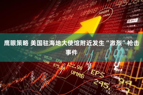 鹰眼策略 美国驻海地大使馆附近发生“激烈”枪击事件