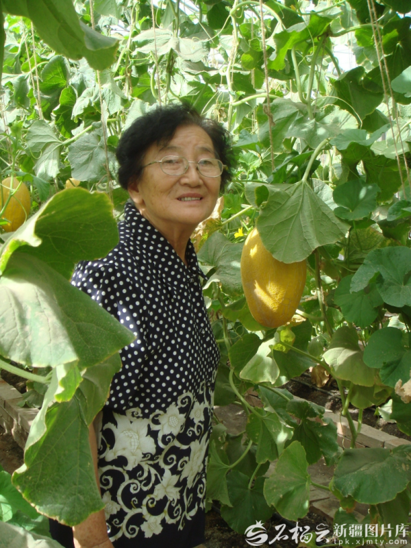 漢崋资本 致敬新疆榜样丨 吴明珠：把瓜的甘甜献给人民